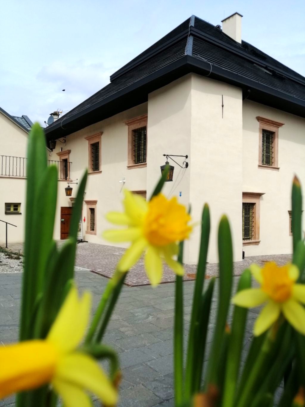Akcja Żonkile - wspólna pamięć w Centrum Pamięci Kultury Żydowskiej    w Chęcinach