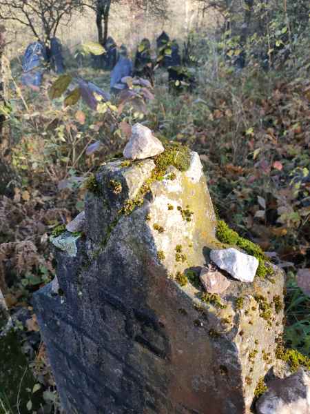 IMG20241106122748