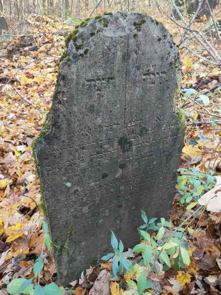 IMG20241106125911